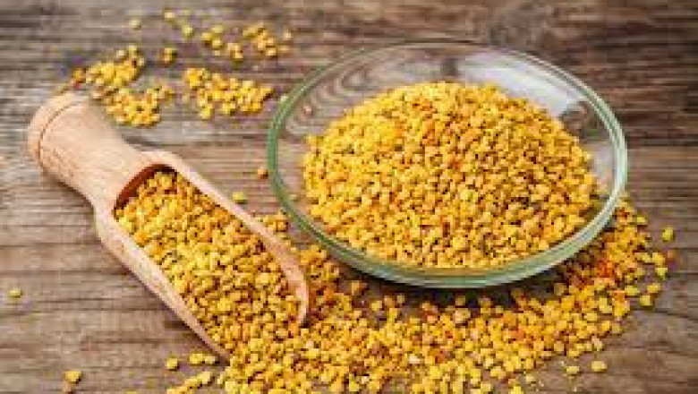 Bee Pollen Market Insight | Outlook | Growth Analysis Report 2022-2028
