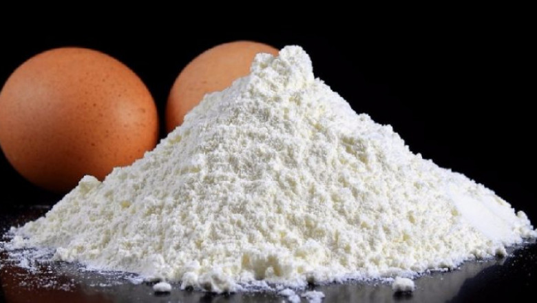 Egg White Powder Market Insight | Outlook | Growth Analysis Report 2022-2028