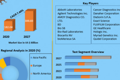 Global Lung Cancer Diagnostics Market with Covid-19 Impact Analysis, Share, Size, Leading Players, Industry Growth and Forecast 2027