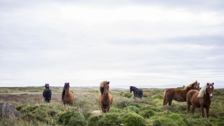 sage advice about gifts from a fiveyearold