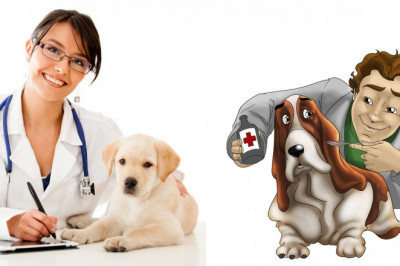 Veterinary Telemedicine can Examine Images of a Patient's Body and Run Diagnostic Tests