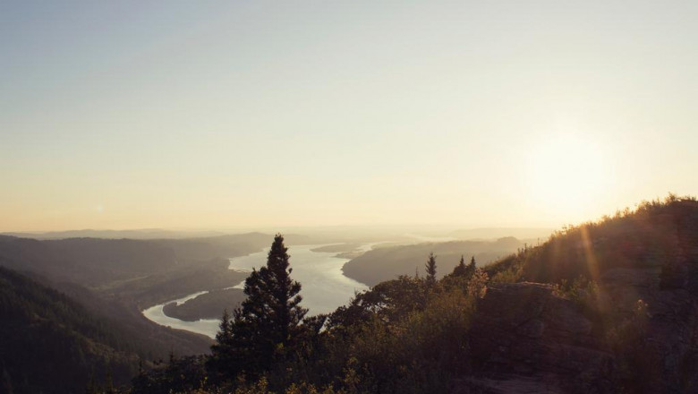 vitamin d as well as respiratory health and wellness