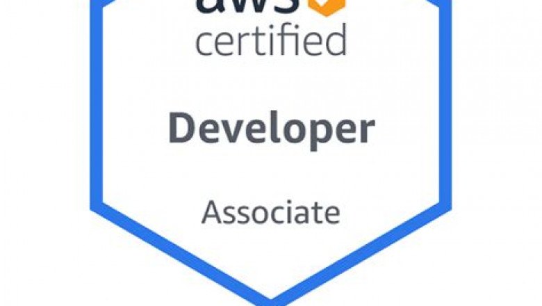 2022 VCE DVA-C01 Exam Simulator - New DVA-C01 Exam Notes, AWS Certified Developer Associate Exam Instant Download