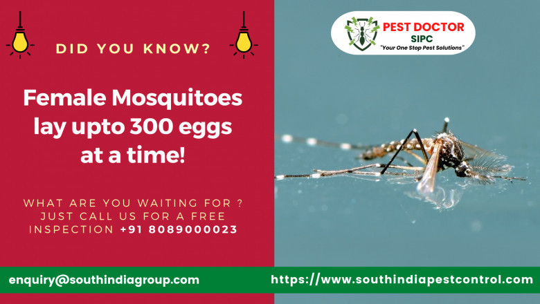 Mosquito Control in Cochin