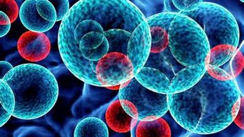 Nanocoatings Market Competitive Landscape and its Industry Growth Prospect By 2028
