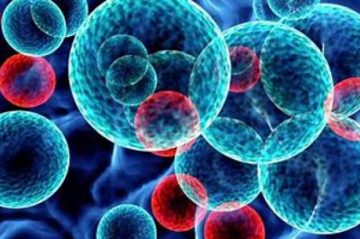 Nanocoatings Market Competitive Landscape and its Industry Growth Prospect By 2028
