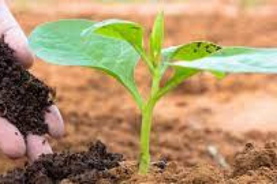 Agrochemicals Market 2022 Key Players, Share & Forecast Report to 2028