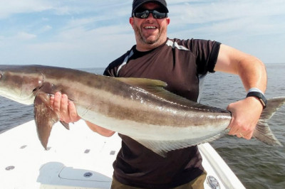 Crystal River charter boat