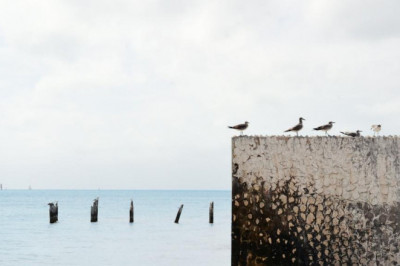 shqq llby blsm ldry jwyd kwbr