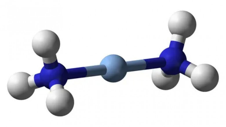 A Plant or Animal Needs Nitrogen to Survive, Which Is Obtained From Ammonia