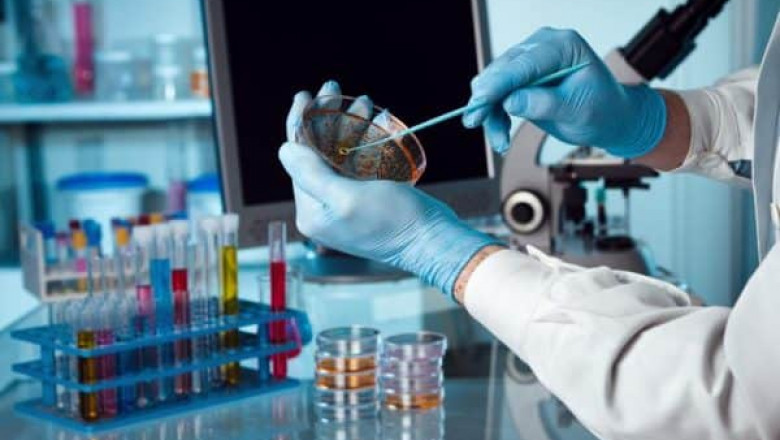 Bioadhesives Market To Gain Substantial Traction Through 2030
