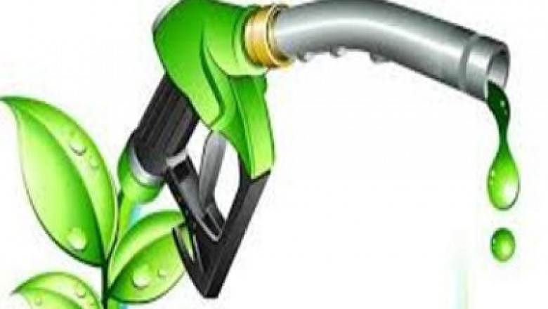 Biodiesel Market Size, Analysis, Application, Key Player and Business Opportunities, Current Trends, Forecast by 2030