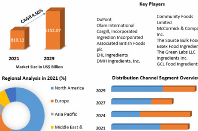 Bulk Food Ingredients Market Research Depth Study, Segmentation And Forecast 2029