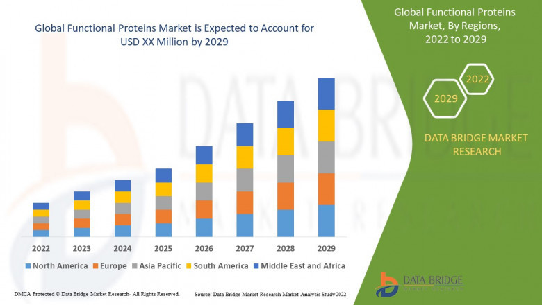Functional Proteins Market share Analysis, &amp; Forecast 2029