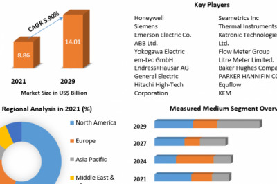 Global Flow Meters Market Insights by Geography, COVID-19 Impact And Forecasts 2029