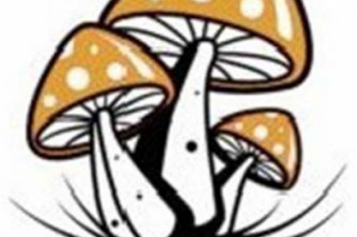 Psychedelic High