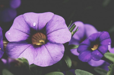 why you should focus on improving xm