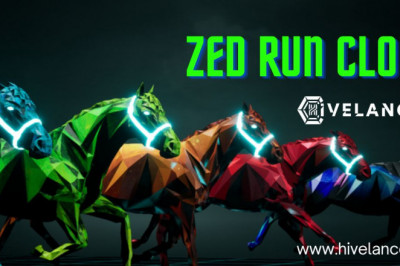 Zed Run Clone Software development