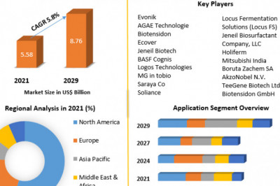 Biosurfactants Market Size, Share, Industry Forecast Analysis Report 2029