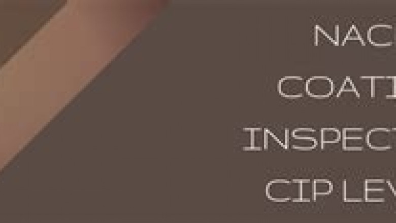 NACE Cert NACE-CIP1-001 Exam &amp; NACE-CIP1-001 Free Pdf Guide - New NACE-CIP1-001 Braindumps Questions