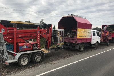 Obtain Tree Elimination Performed With The Assistance Of Professionals