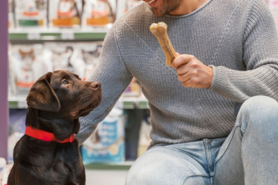Top Tips for Using a Dog Whistle to Train Your Puppy