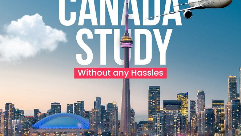 Are You Looking for Guidance on VISA Selection?