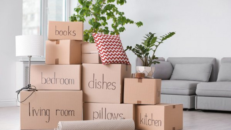 The 4 Key Pros of Hiring a Qualified Removalist