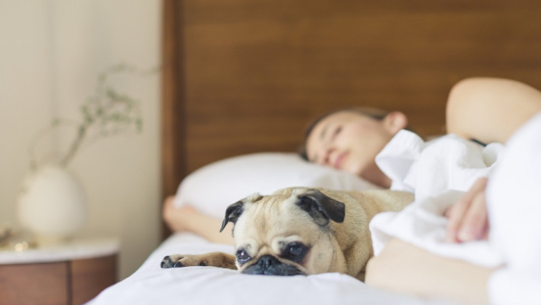 Acupuncture Treatment Available at Lakeside Natural Health Centre