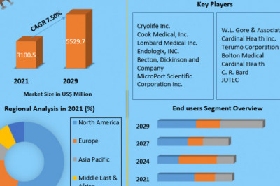 Aortic Stents Grafts Market Global Production, Growth, Share, Demand and Applications Forecast to 2029