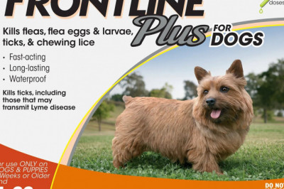 Buy Cheapest Frontline Plus for Dogs - Online With Free Shipping@petcaresupplies!!