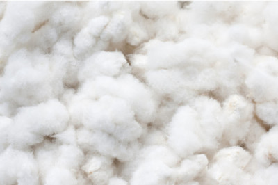 France Cotton Market (2022-2028) | Forecast, Share & 6Wresearch