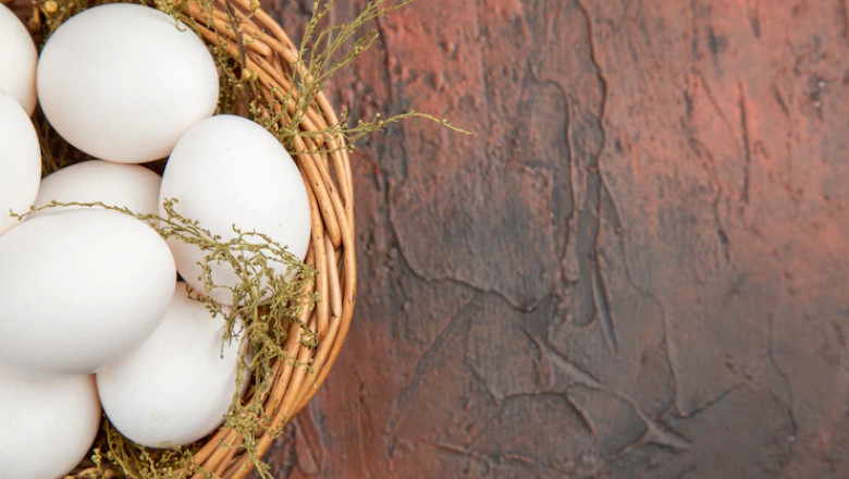 Is Egg Vegetarian Or Not?