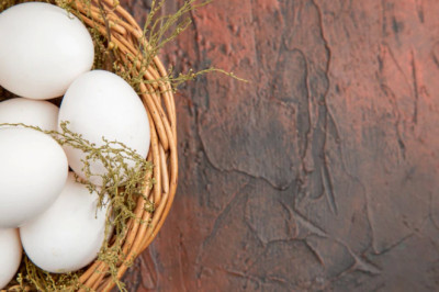 Is Egg Vegetarian Or Not?