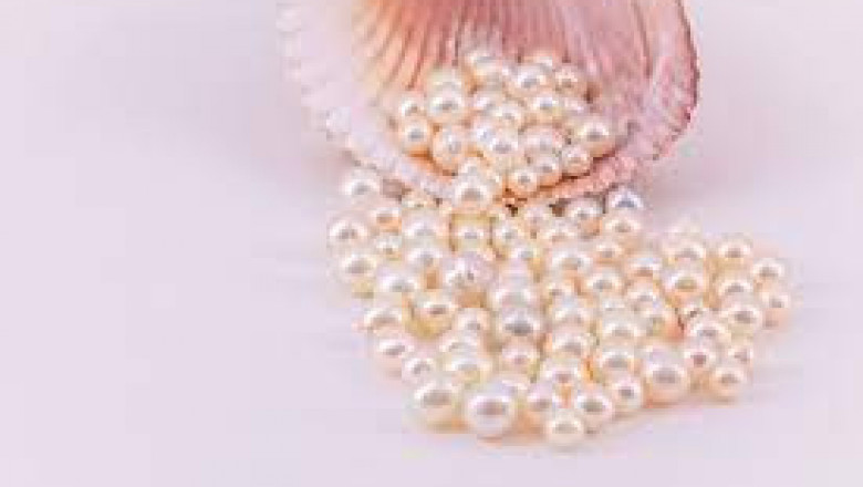 Pearl Market Insight | Outlook | Growth Analysis Report 2022-2028