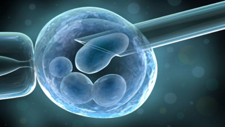 Synthetic Stem Cells Market is expected to valued at USD 54.25 million by 2028, growing at a CAGR of 15.44%