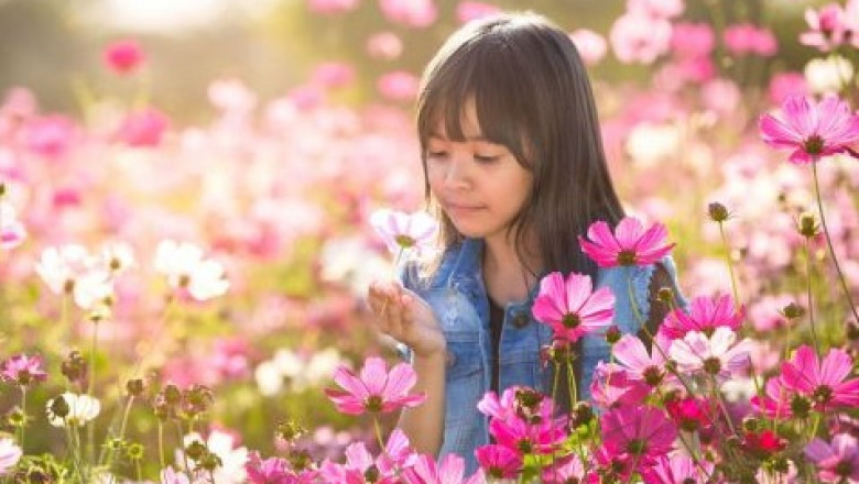 The Benefits of Allergy Shots