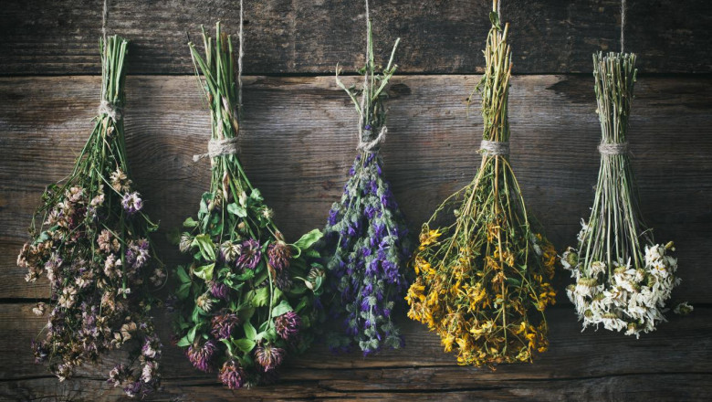 What are dried flowers?
