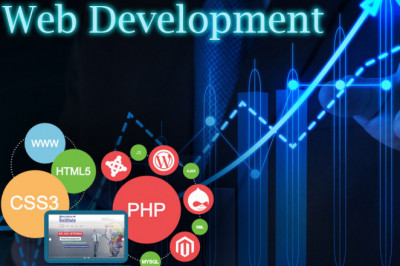 Why does your business need Web Development Services?