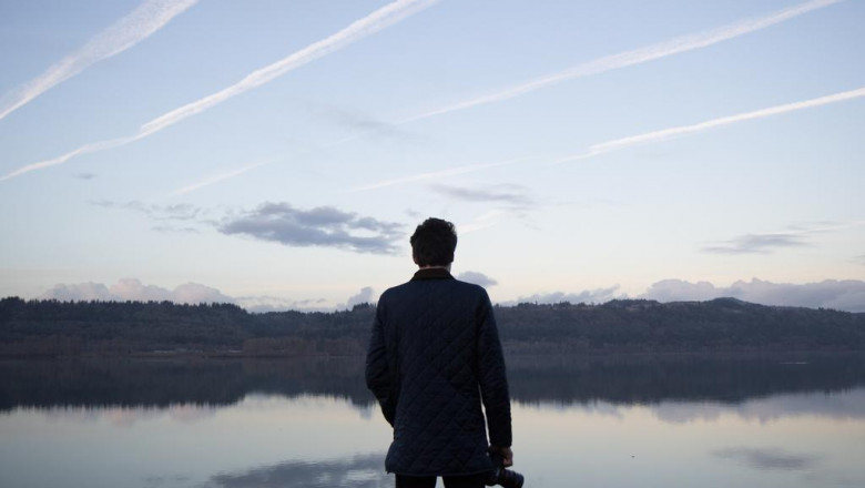 wppo lil luigi portable pizza oven