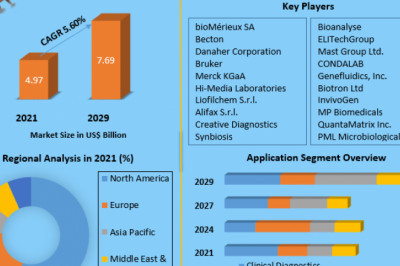 Global Antimicrobial Susceptibility Testing Market Key Players, Growth And Leading Players Forecast By 2029