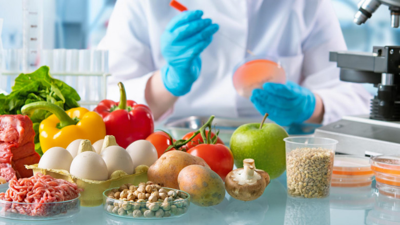 Global Food Biotechnology Market Report, Latest Trends, Industry Opportunity & Forecast to 2028