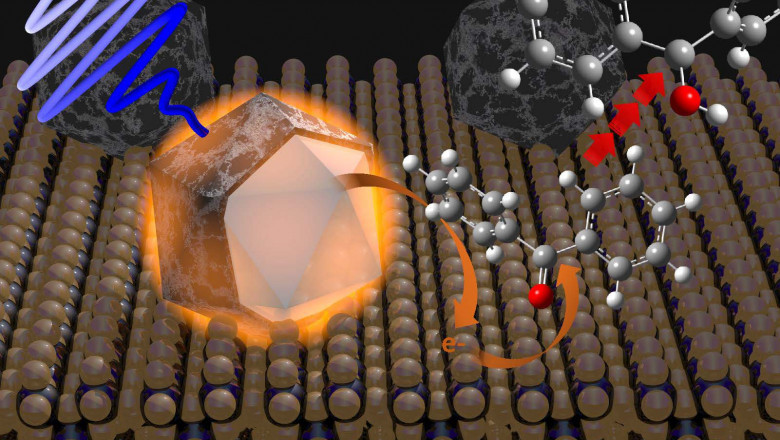 Nanoparticles are used as Biochips, Markers, and Cosmetic Products
