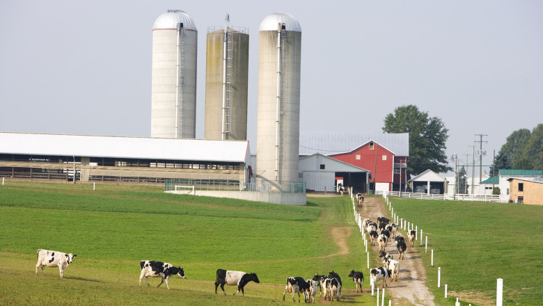 The Botany At Dairy Farm Pricing