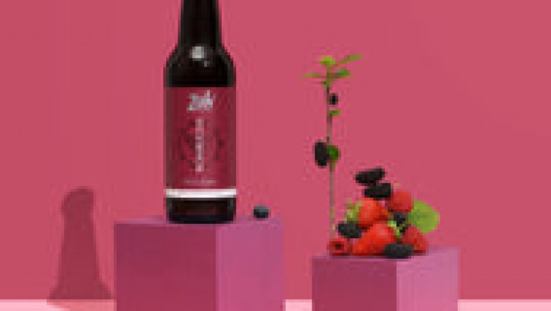 Buy Kombucha - Berry Blast Kombucha Form Zohprobiotics