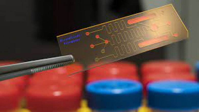 Global Biosensors Market 2022 - Top Key Players Analysis Report Till 2028