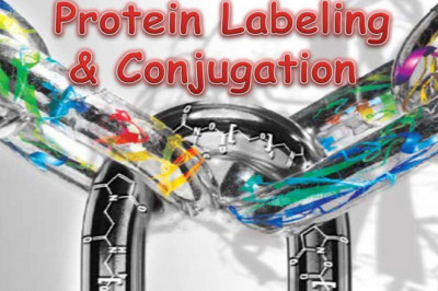 Global Protein Labeling Market Report, Latest Trends, Industry Opportunity & Forecast to 2028