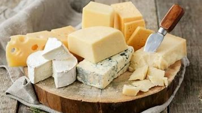 Vegan Cheese And Processed Cheeses Market Competitive Landscape and its Industry Growth Prospect By 2008