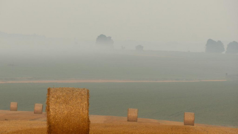 10 things we all hate about resume writing cost