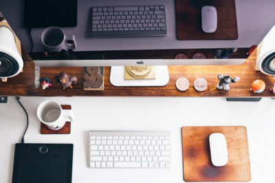 best optometry schools in florida